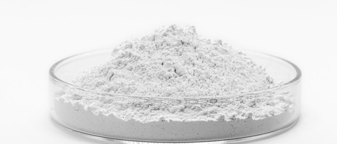 Powder in a petri dish; Shutterstock ID 2122020047; purchase_order: 04042023; job: E-CMP/M (Woodbinders); client: BASF SE, E-CMP/M - F206, Heike Scheurer; other: BASF SE, GBH/IM, Matthias Baque